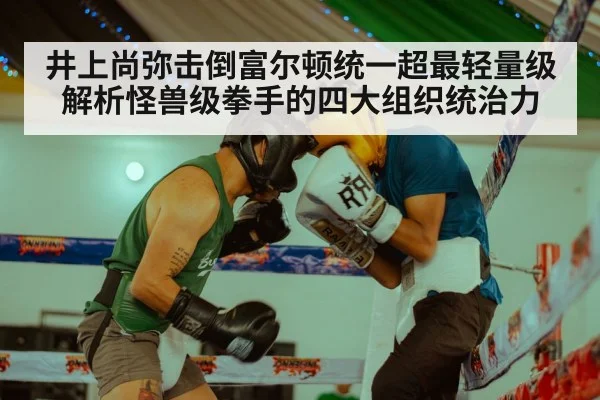井上尚弥击倒富尔顿统一超最轻量级 解析怪兽级拳手的四大组织统治力