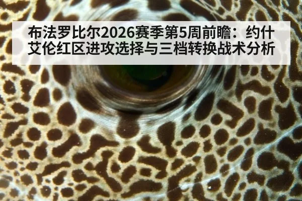 布法罗比尔2026赛季第5周前瞻:约什艾伦红区进攻选择与三档转换战术分析
